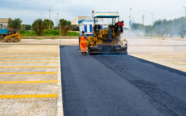 Best Driveway Grading and Leveling  in Ely, MN